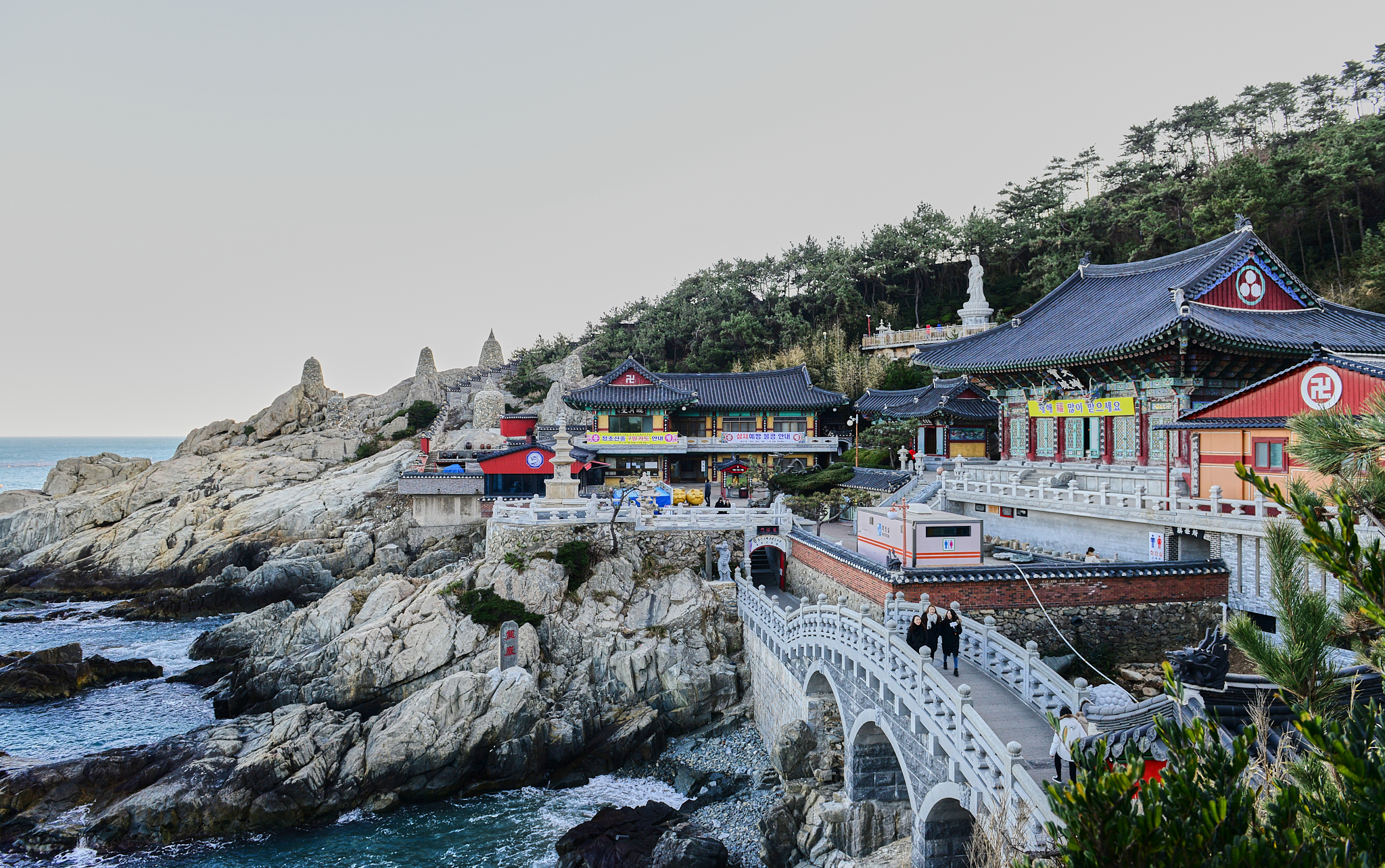 5 부산