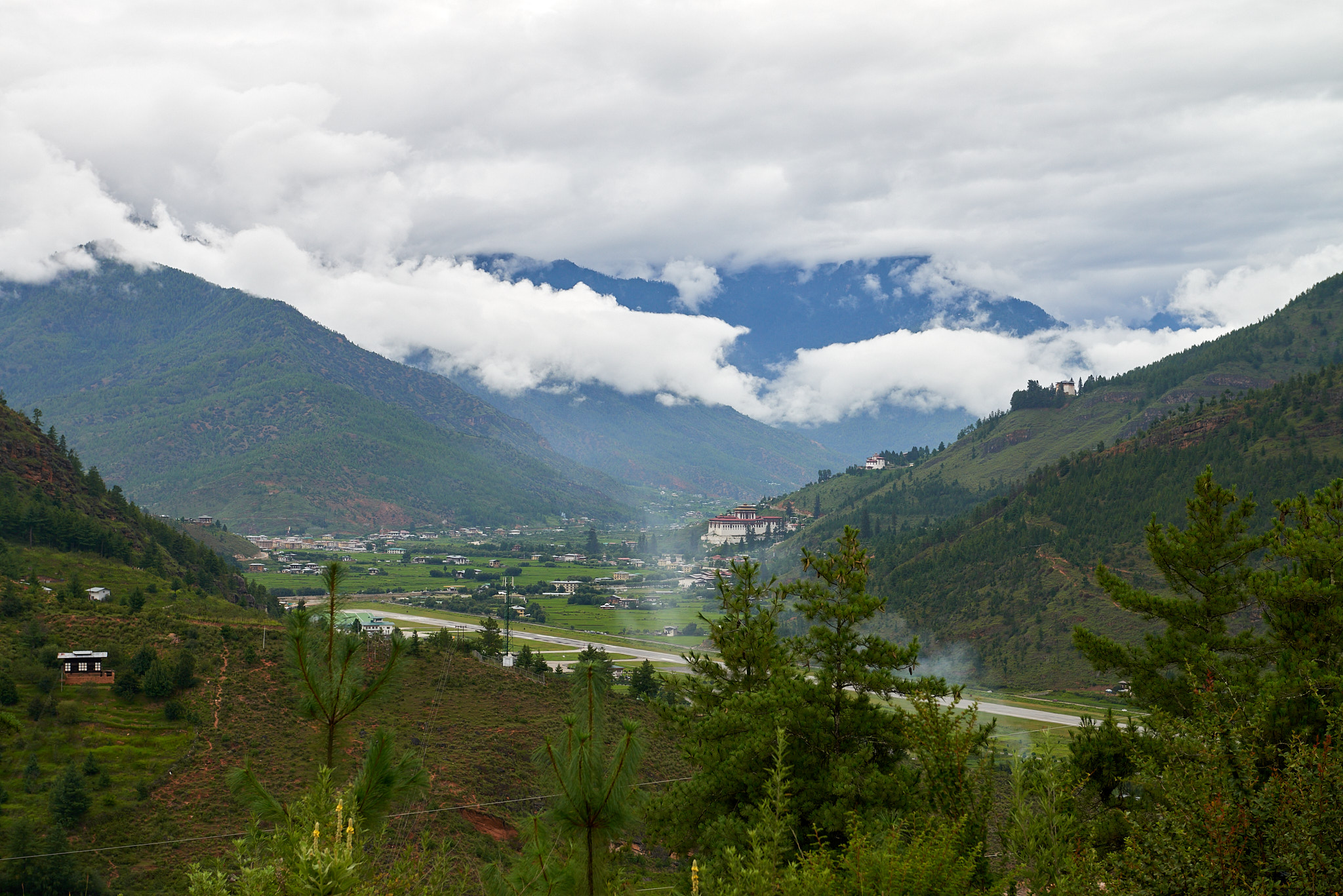 20170809 174 Paro